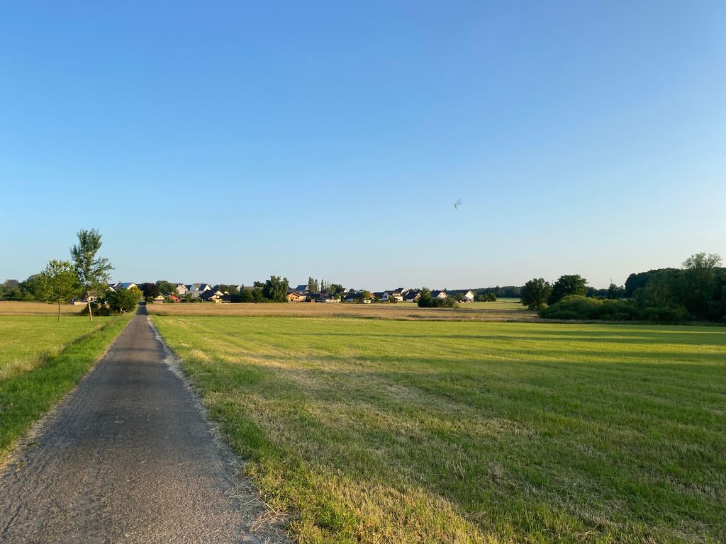 Meadow surrounded by forests in the northern Hunsrück