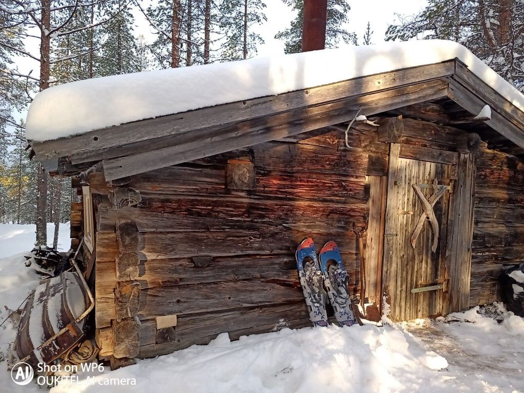 Blockhaus in absoluter Wildnis - "lonely lynx"