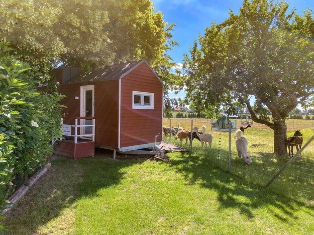 Tiny House auf dem Alpaka-Hof vor der Insel Usedom