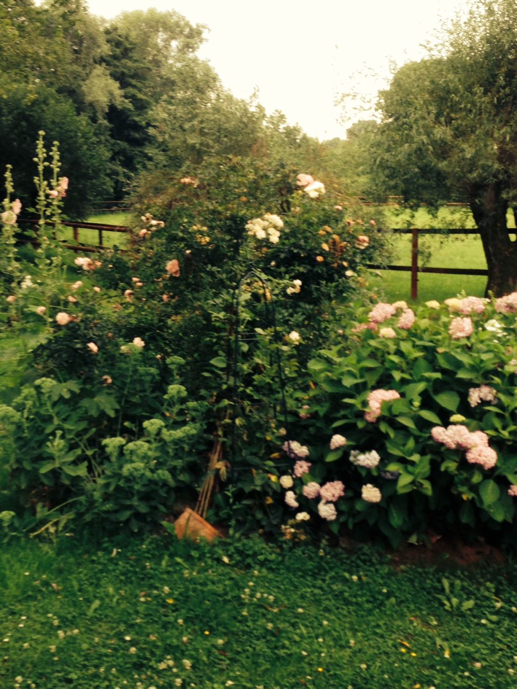 Parcela junto a pasto para caballos y estanque natural