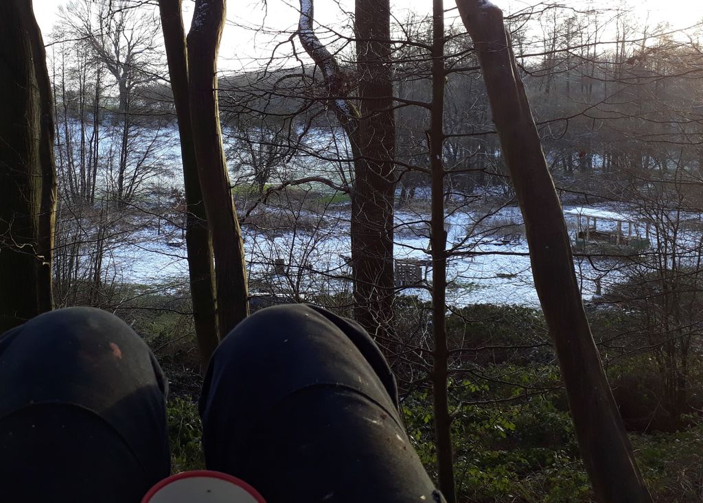 Pradera aislada junto a un pequeño bosque en un lugar apartado