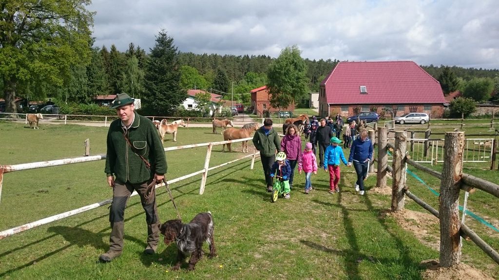 Campeggio tra bovini, pecore e cavalli