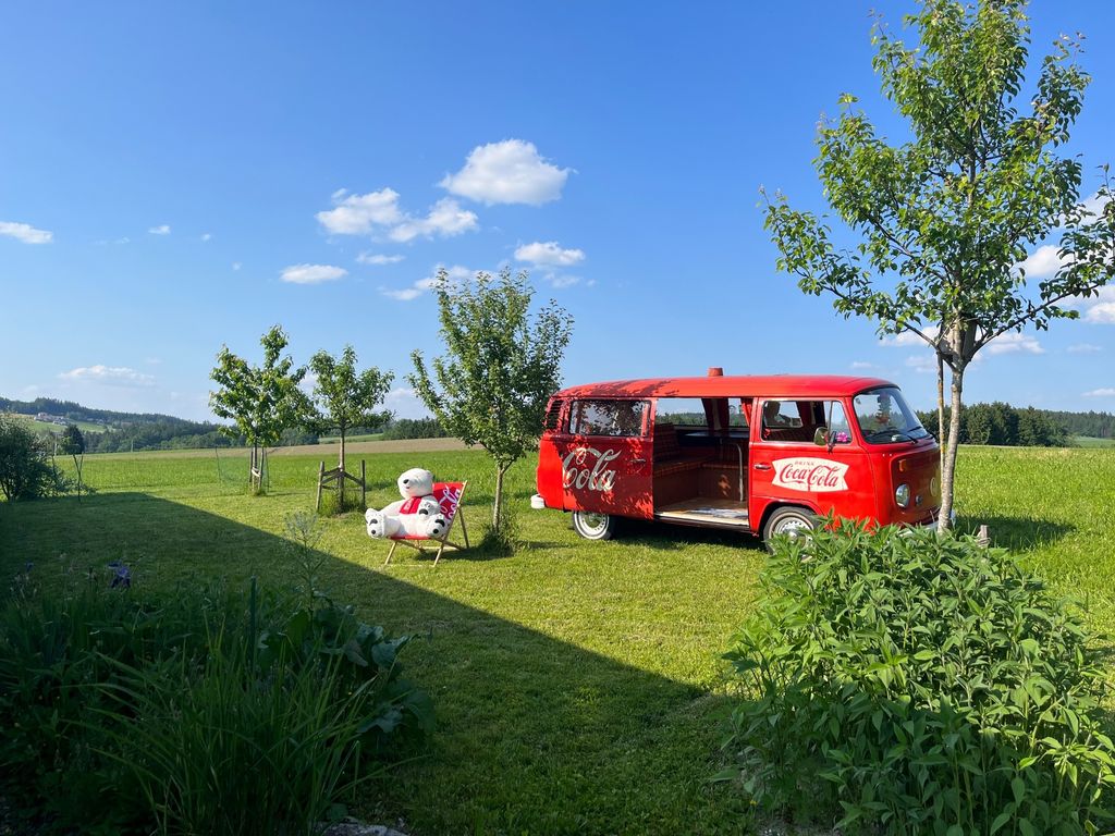 Bellissimo prato con alberi da frutto su Biberweg