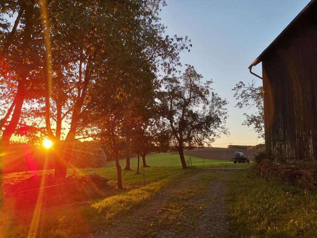 Tranquilidad absoluta: tiempo libre en la granja