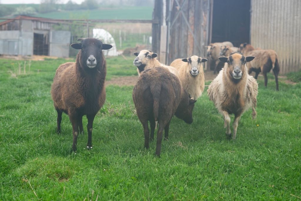 Quiet accommodation in the Elster Valley