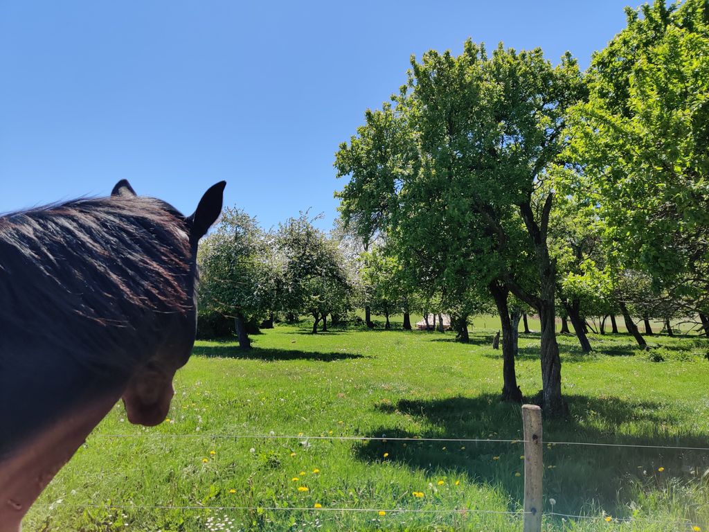 Tienda de lujo Lærken en el Parque Natural de Ølene