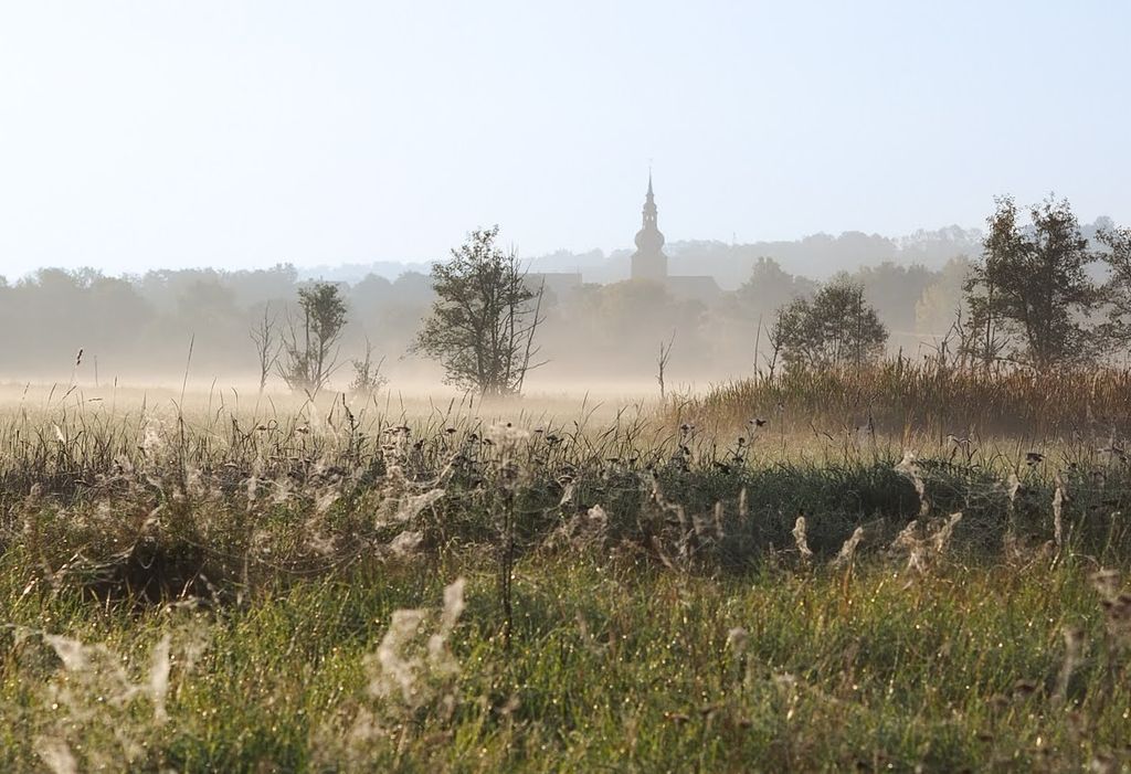 Rundrum Natur- Campen auf dem historischen Gutshof