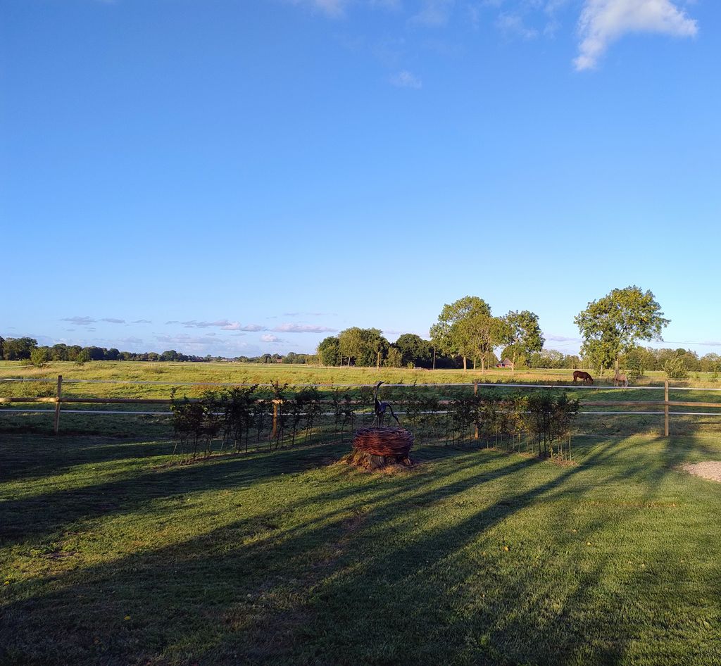 Tranquilidad en la naturaleza del Jadebusen