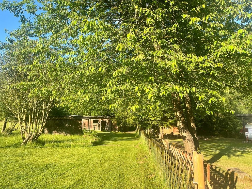 Comfortable private pitch for 4 - a dream on the edge of the Westerwald