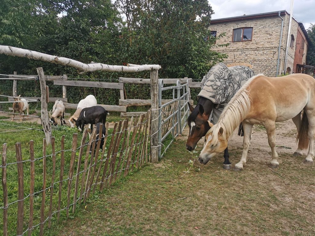 Campen auf dem Vierseitenhof