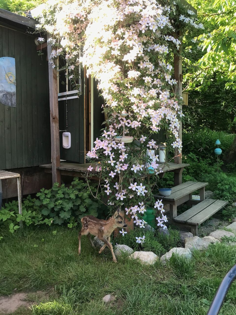 Bauwagen (Tiny House) im Naturgarten