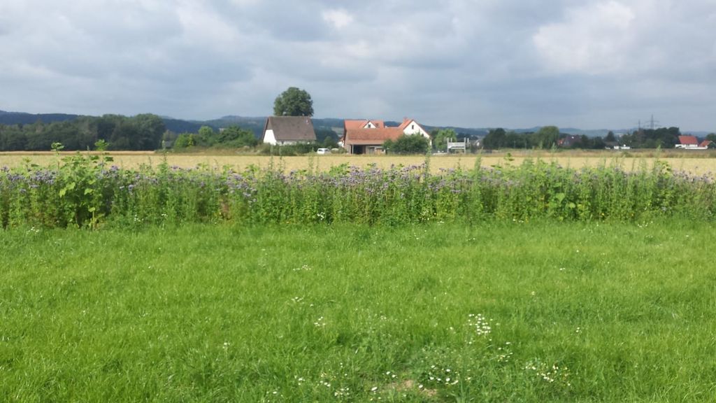 Panorama zwischen Teutoburger Wald & Weserbergland