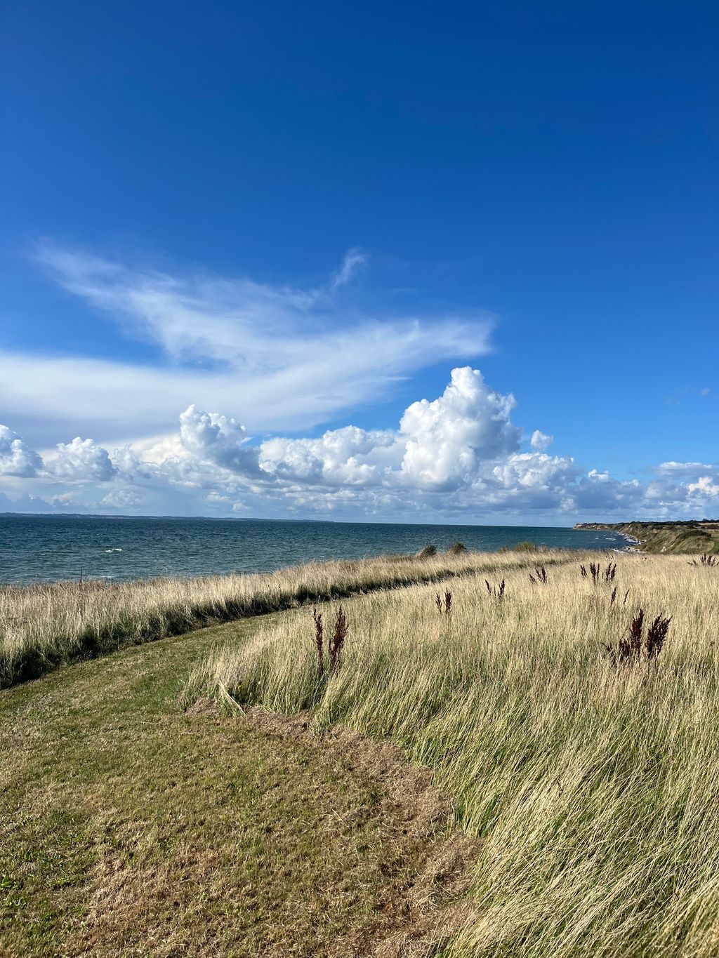 Camping am Meer – Insel Ærø erleben