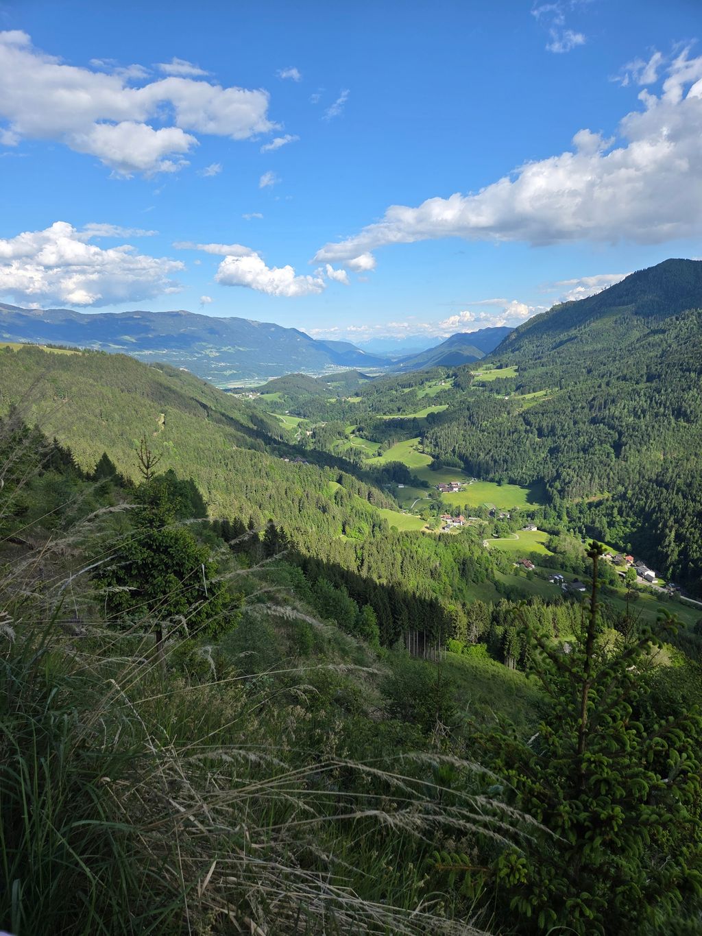 Camp between forest and meadow at over 1200 m