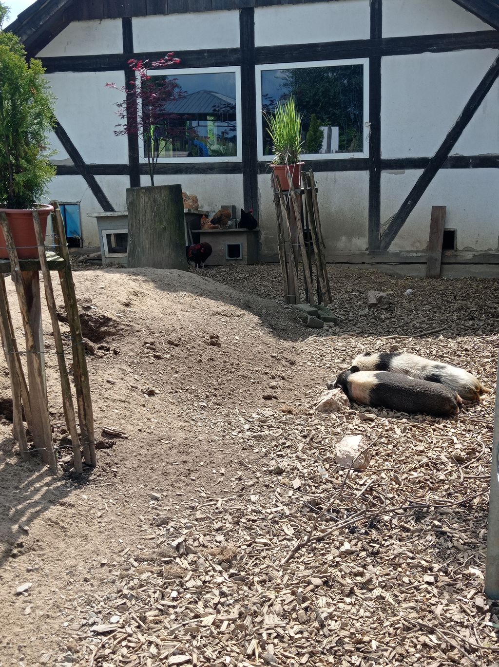 Urlaub auf dem Bauernhof am Rande des Sauerland