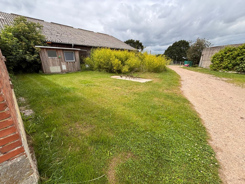 Lugar en una granja de caballos en Holstein Suiza