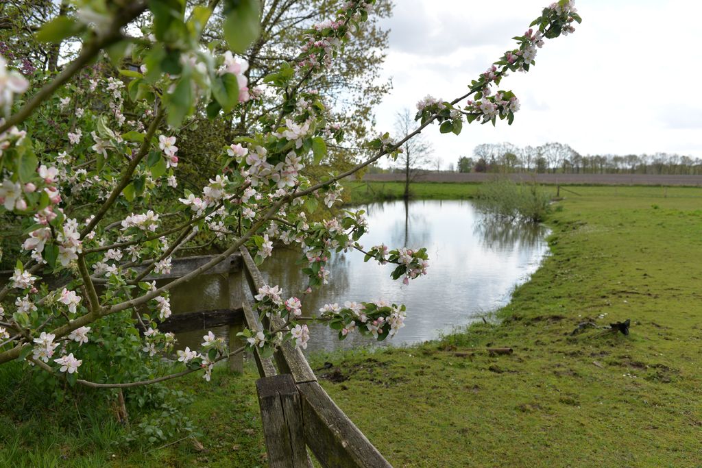 Ferienhof-Wiese : un camping idyllique tout confort