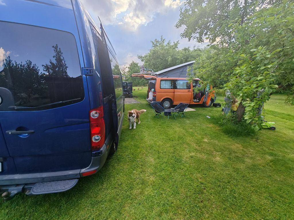 Campeggio in fattoria con animali e fiume