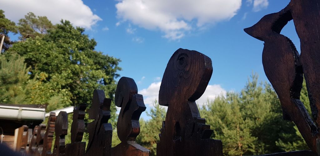 Stellplatz im Zauberwald mitten in der Natur