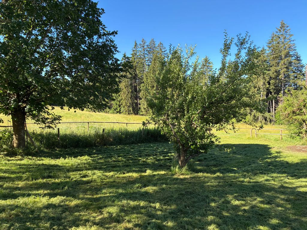 Un emplacement absolument isolé dans l'Allgäu