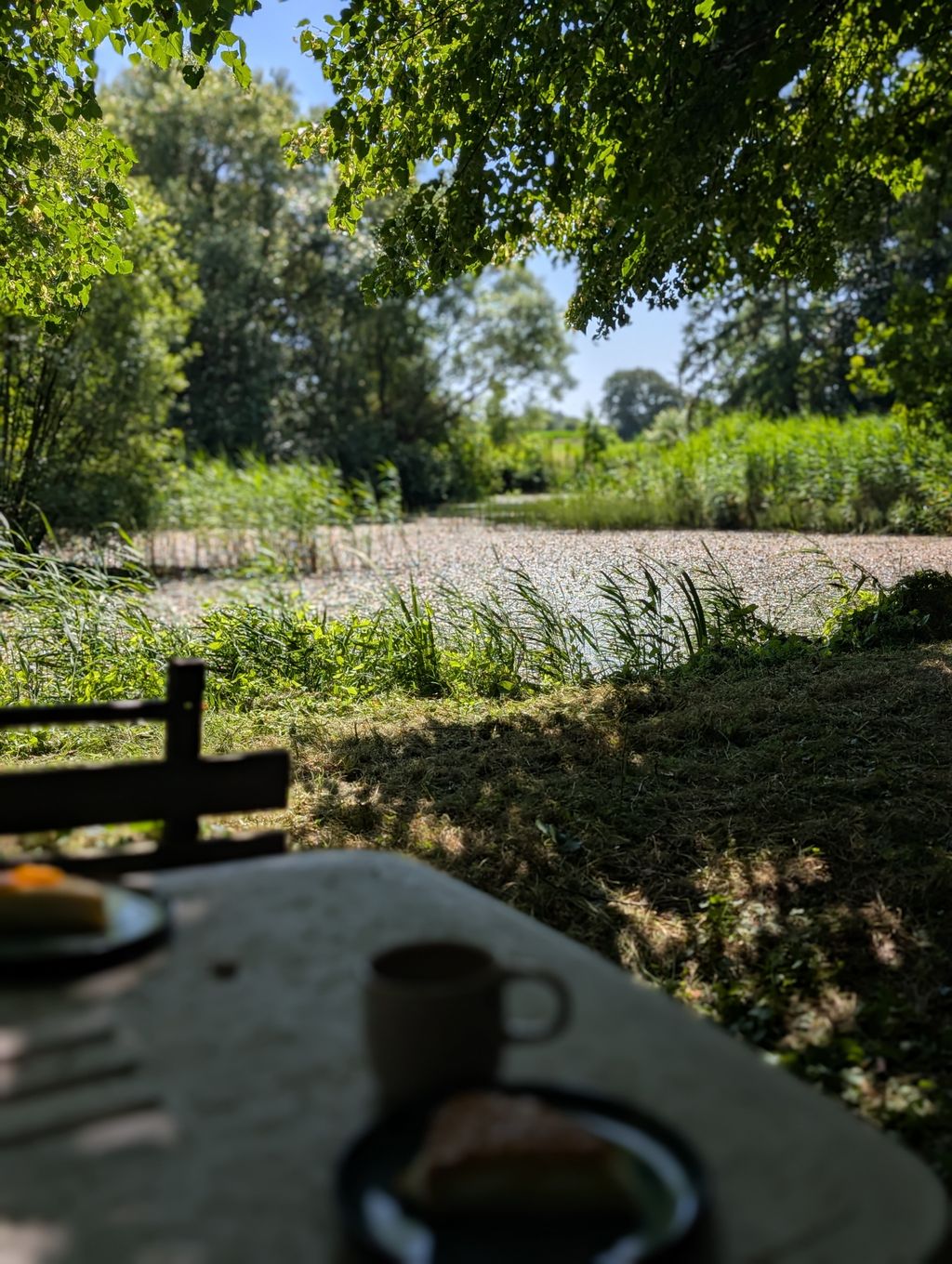 Área de acampada en un biotopo natural junto al estanque en Frisia del Norte