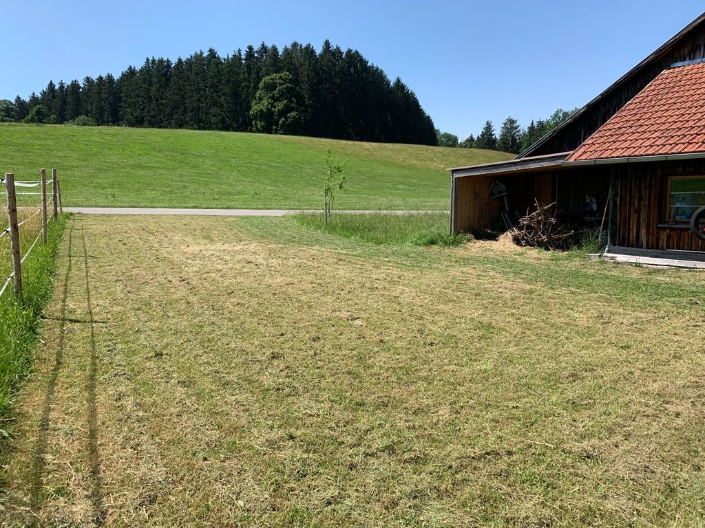 Con i cavalli in Allgäu