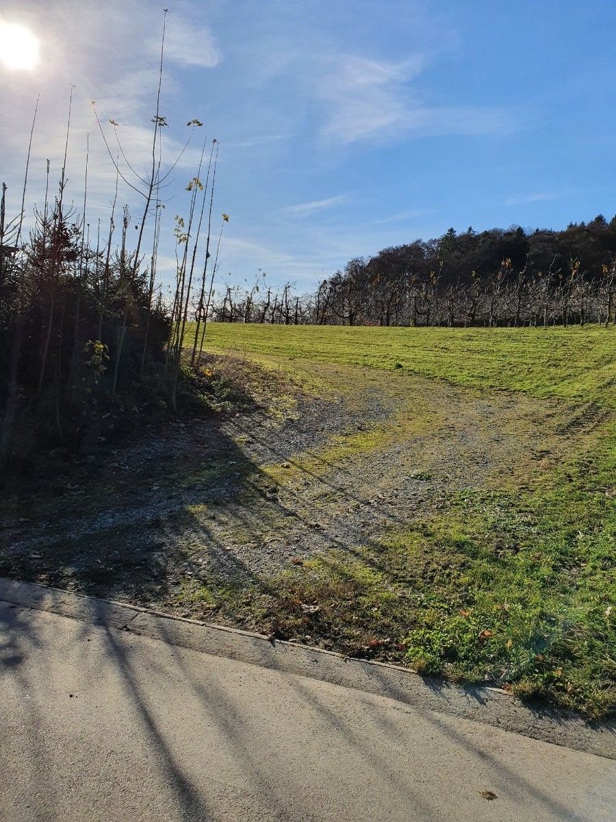 Zwischen Obst und Hopfen im Bodensee-Hinterland