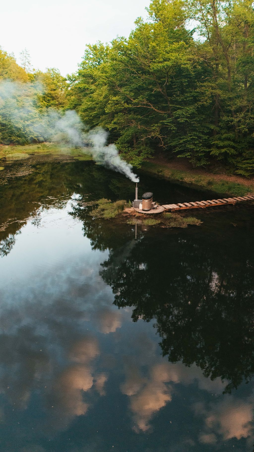 Acampar junto a un lago cristalino en el denso bosque del Palatinado