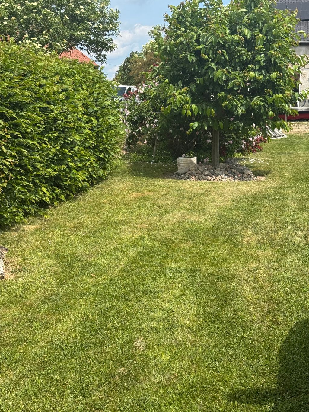 Campen in unserem Garten - von Camper für Camper