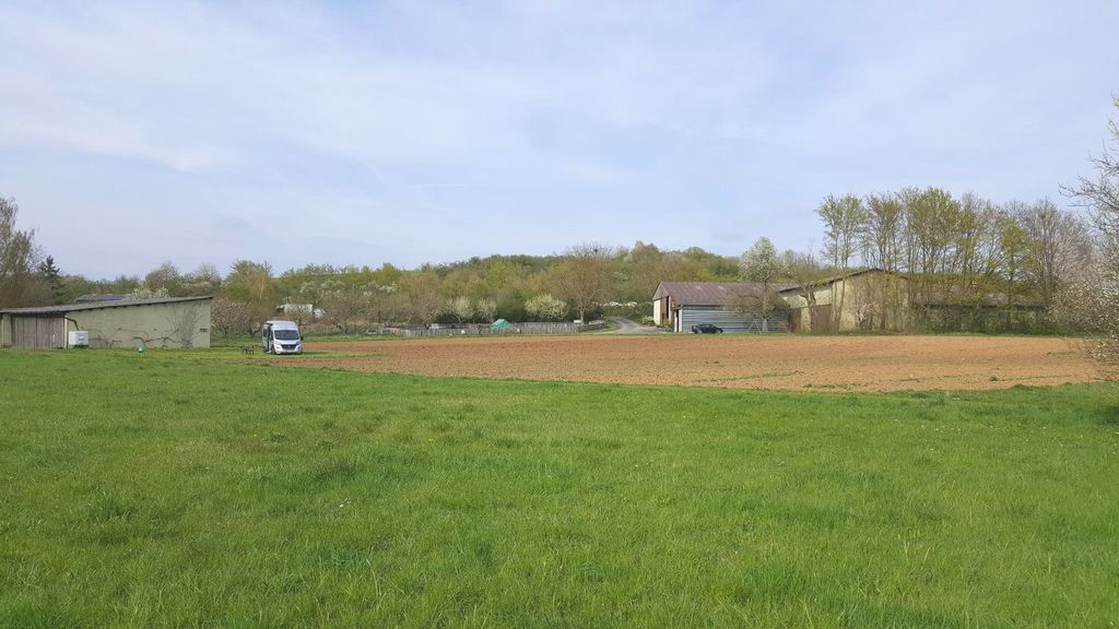 Time out at a disused farm