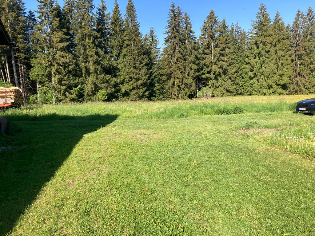 Absolute Alleinlage im Allgäu