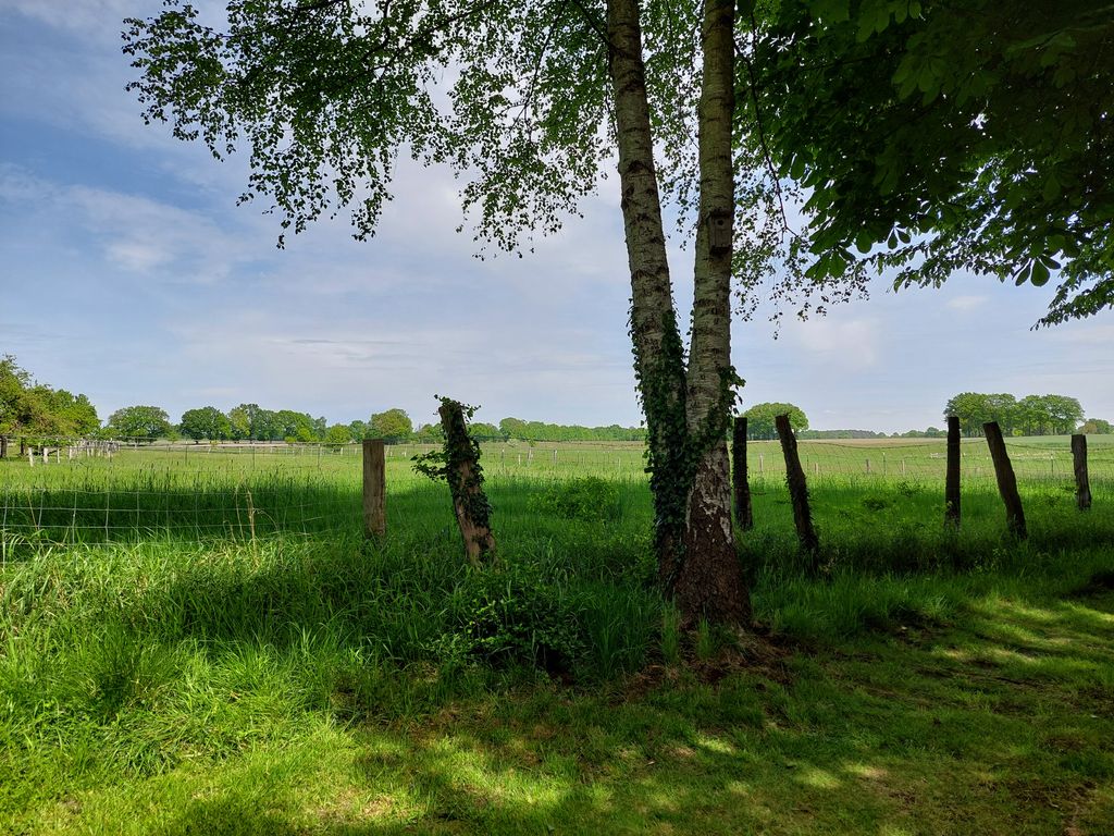 Emplacement dans la verdure près de Walsrode avec animaux