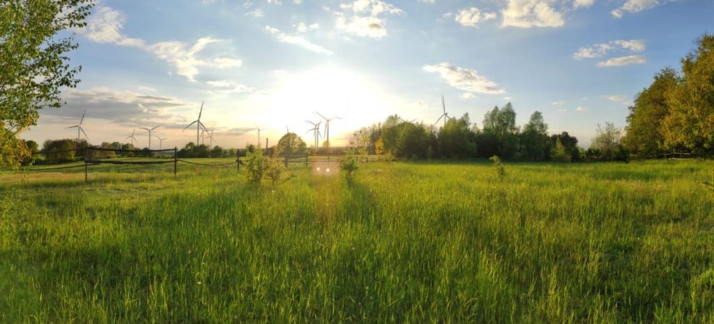 Stellplatz mit Blick in die Natur 