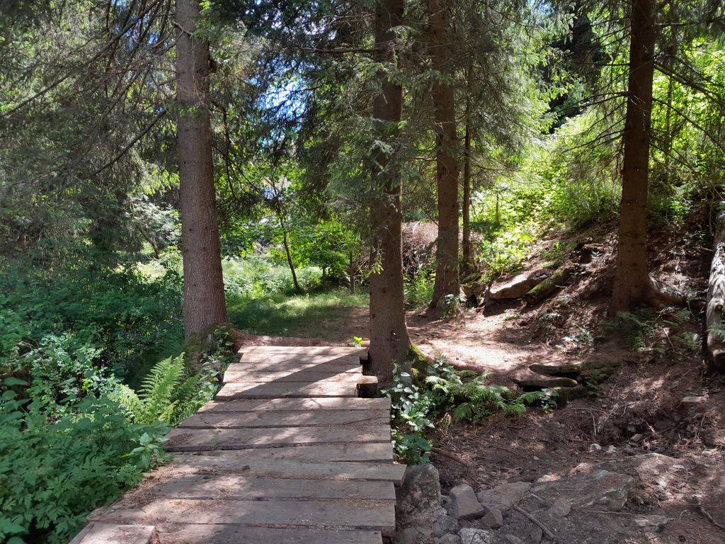 Ruisseau et habitat dispersé à la frontière tchèque