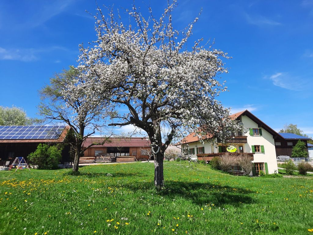 Ferme-camping dans l'Allgäu