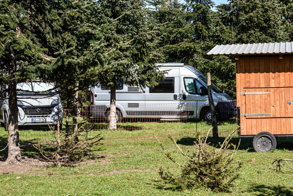 Werderaner Tannenhof | Camping in den Tannen