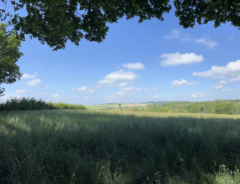 Natura pura per gli amanti delle stelle e della pace e tranquillità