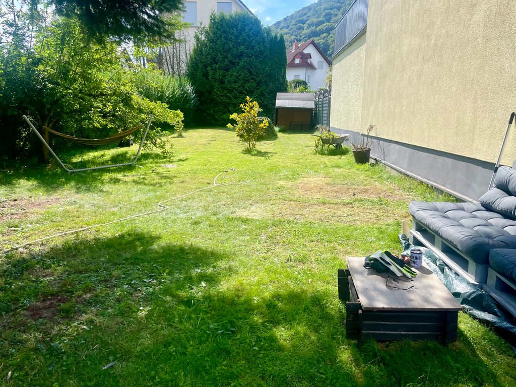 Unter den Fichten im Rhein-Main-Gebiet