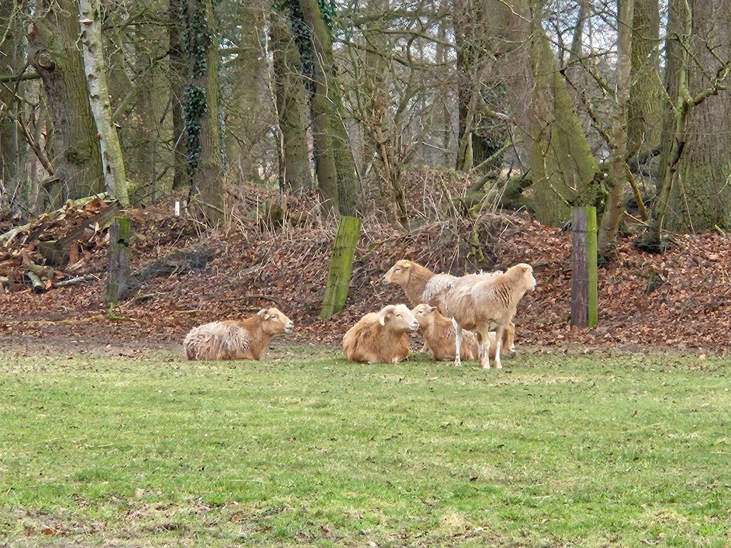 Ruhiger Stellplatz auf altem Bauernhof