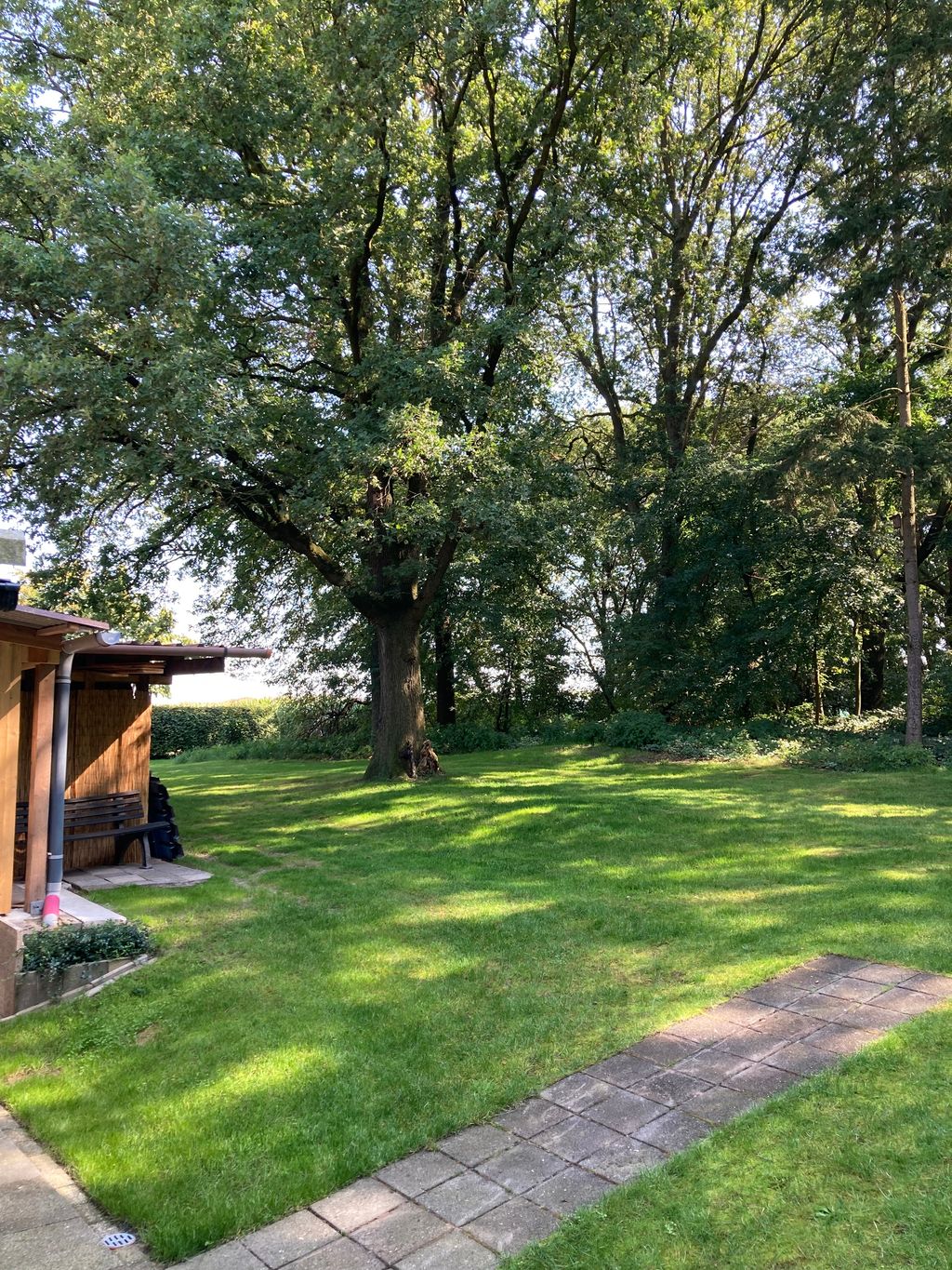 Prato ai margini del bosco - ideale per chi ha un cane