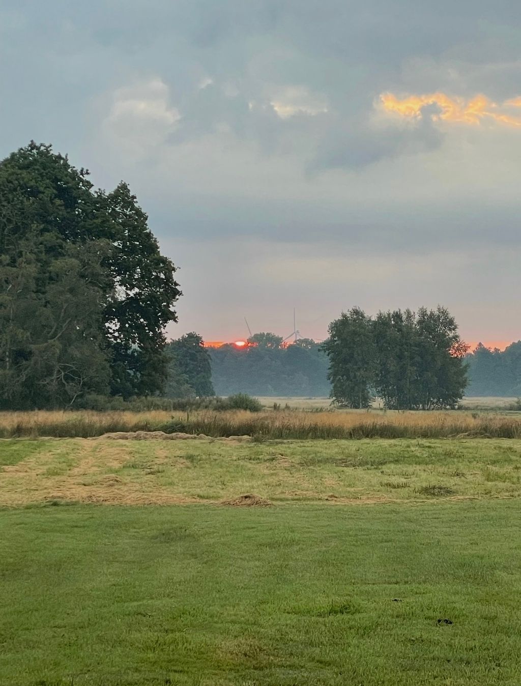 A beautiful spot in the Weser Marshes