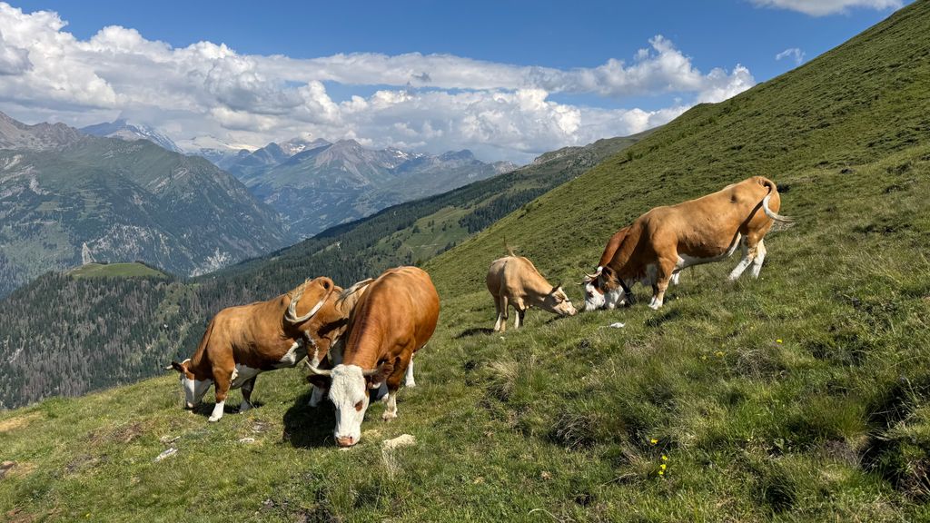 Alpencamping im Angesicht Herrlicher Bergwelt.