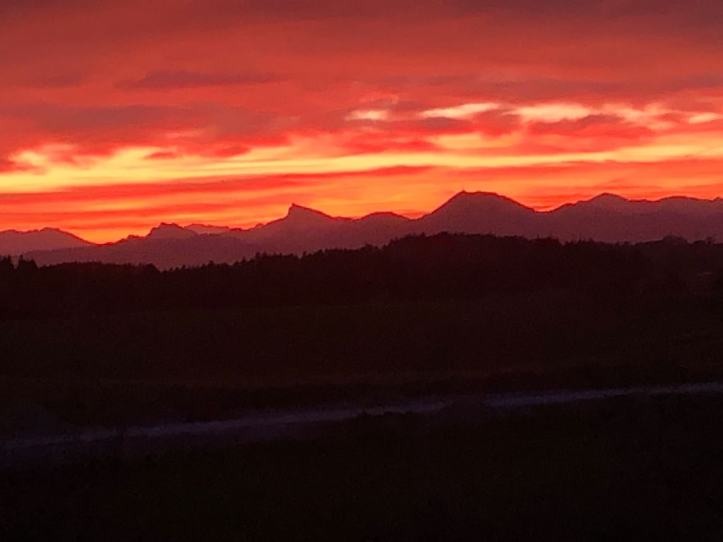Wiese mit Blick auf die Chiemgauer Berge