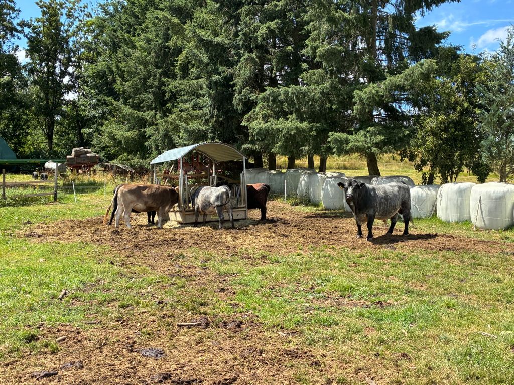 Campeggio naturale in una fattoria nell'Eifel vulcanico