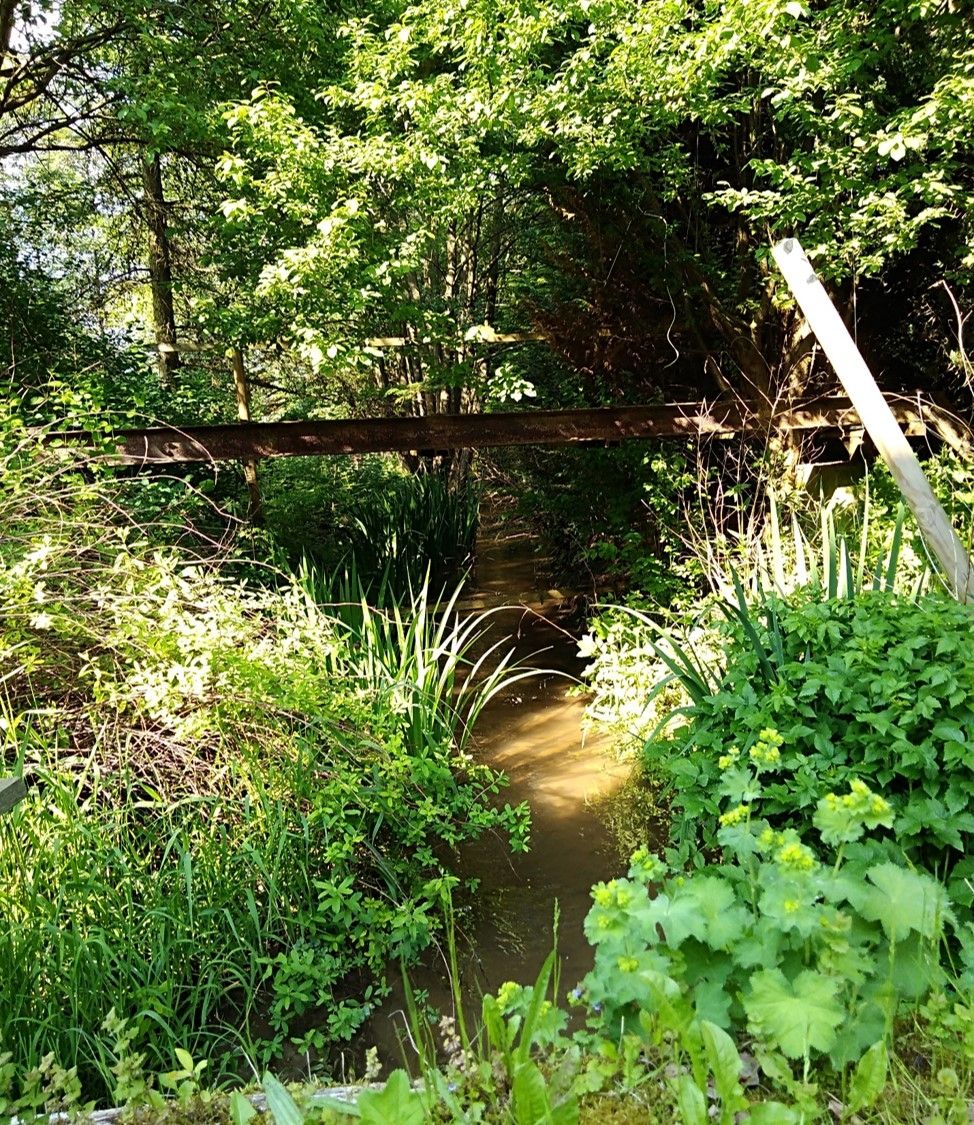Idylle zwischen Rhön und Rennsteig