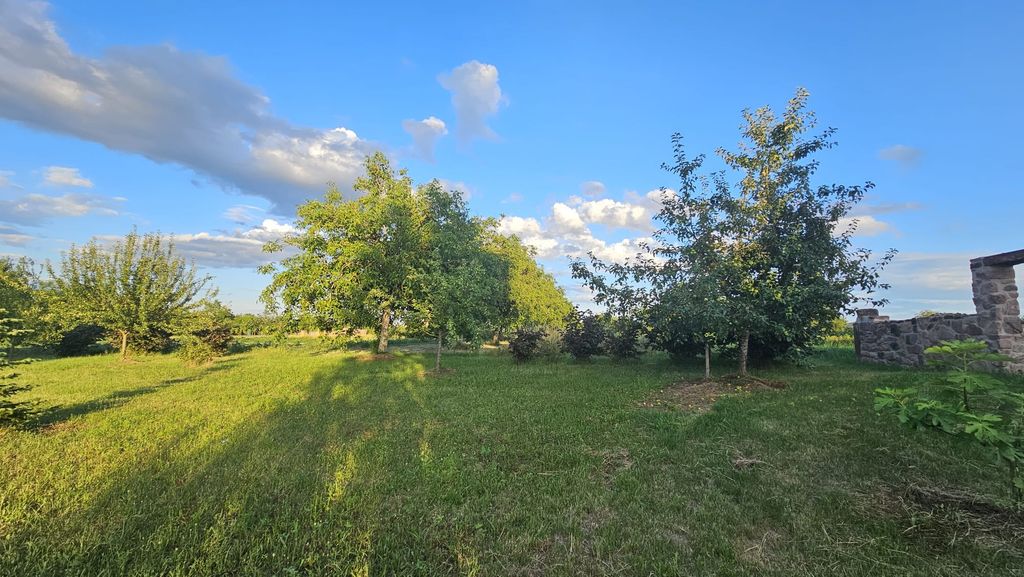 Kleine Streuobstwiese am Kaiserstuhl