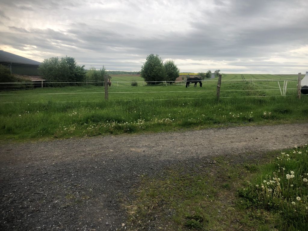 Andare in campeggio con il proprio cavallo