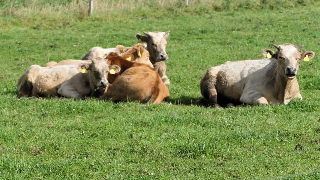 Vacances à la ferme au bord du Sauerland