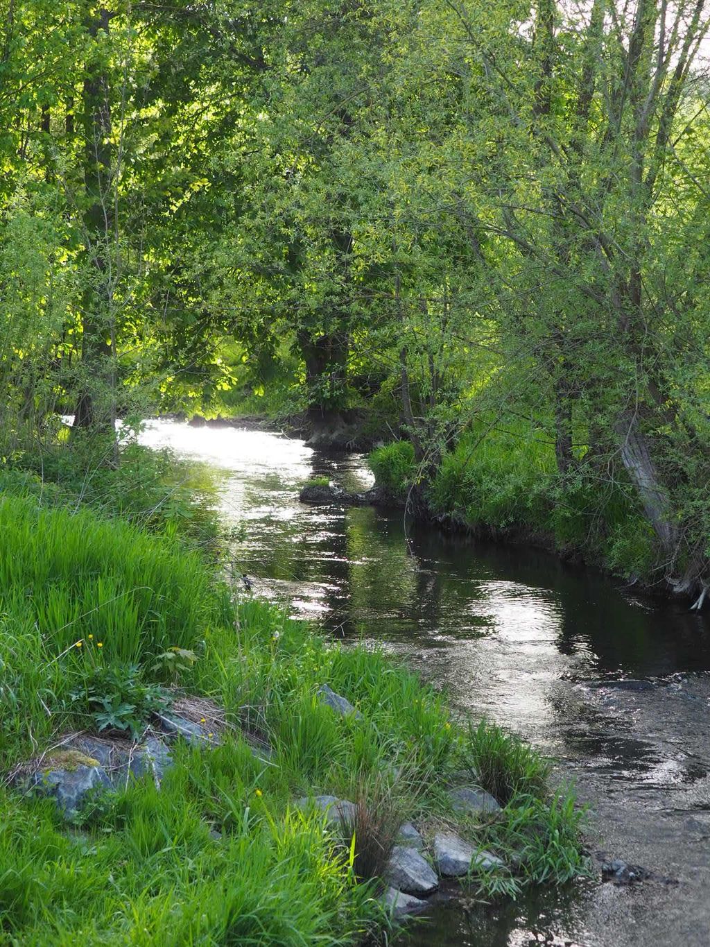 Rundrum Natur- Campen auf dem historischen Gutshof