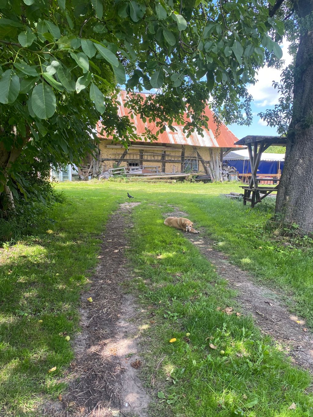 Freie Flächen auf dem Hof :) 
